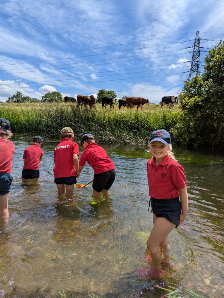 Summer has arrived!, Copthill School