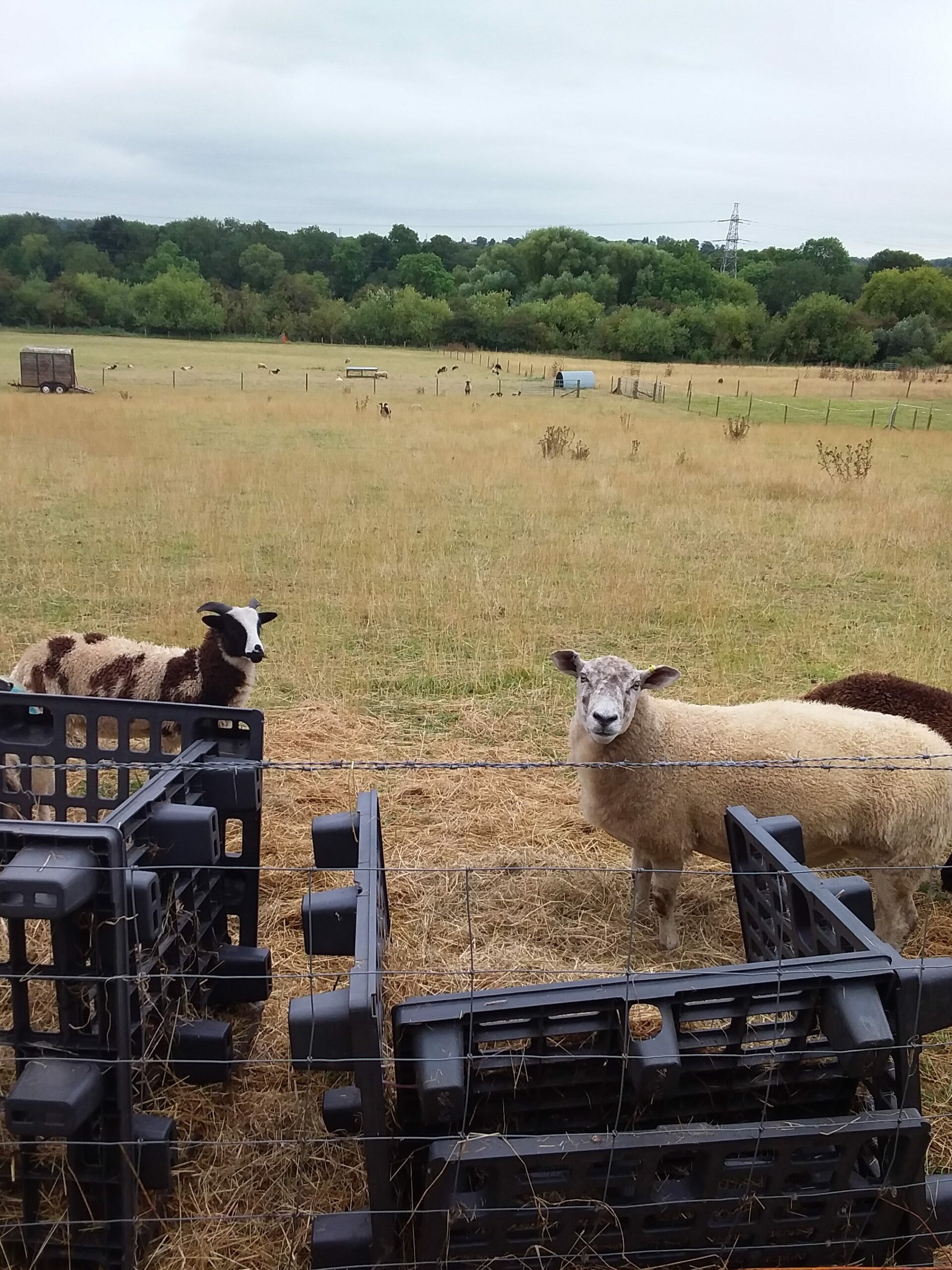 Exploring Nursery, Copthill School