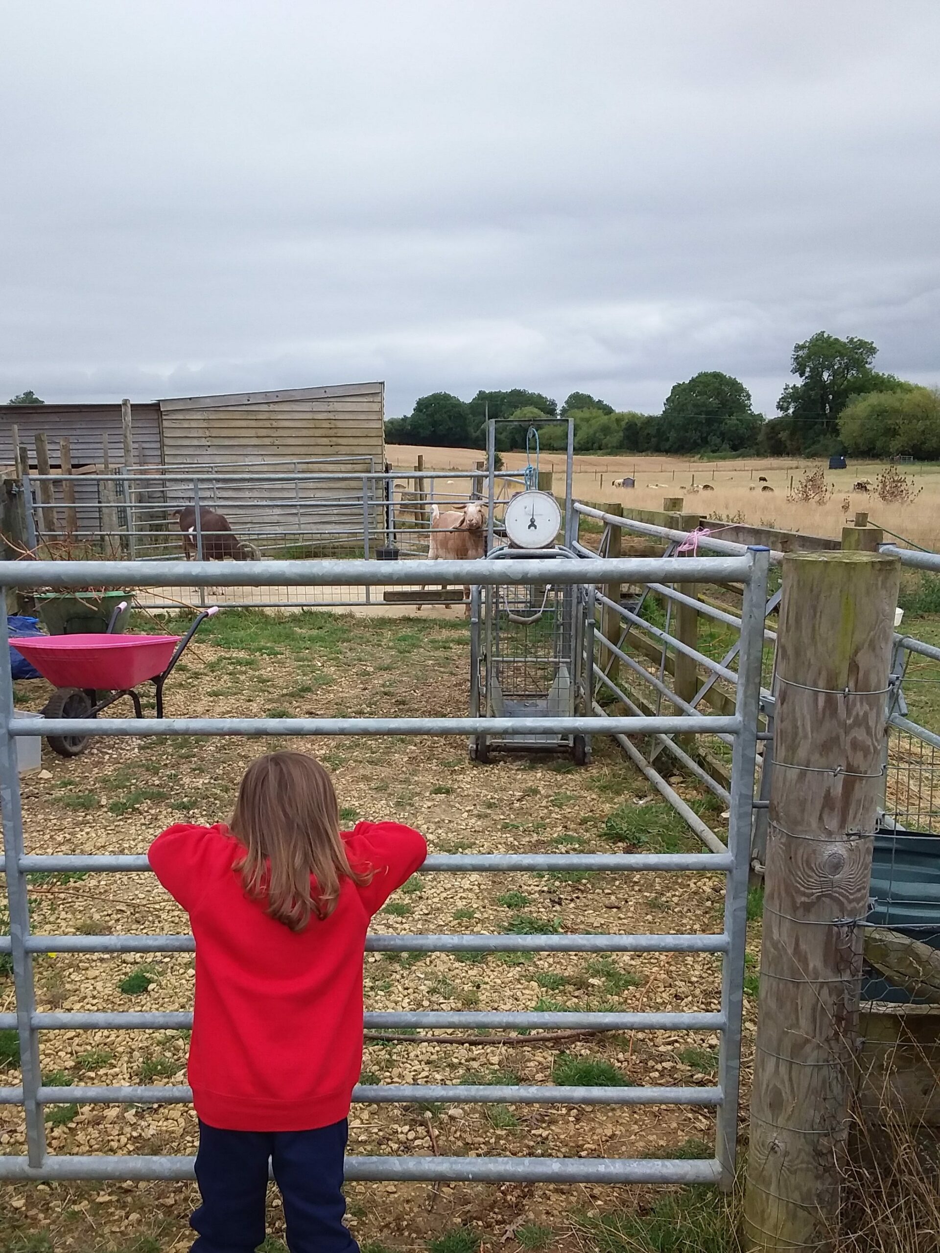 Exploring Nursery, Copthill School