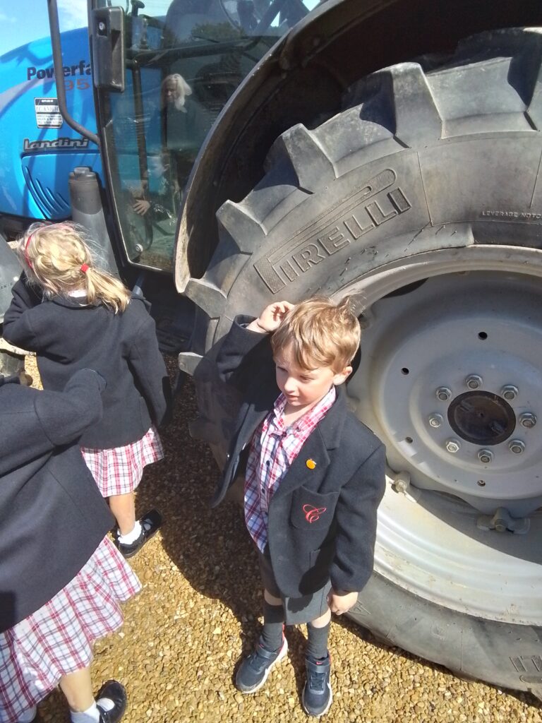 Blackberry Picking, Farming and Voting!, Copthill School