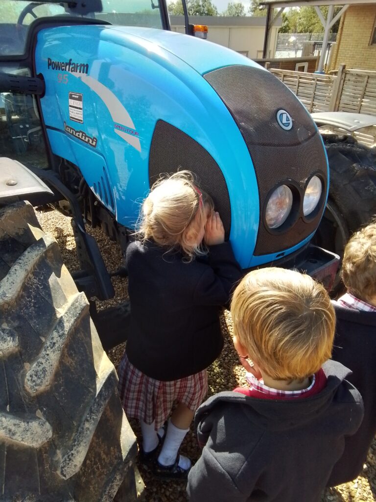 Blackberry Picking, Farming and Voting!, Copthill School