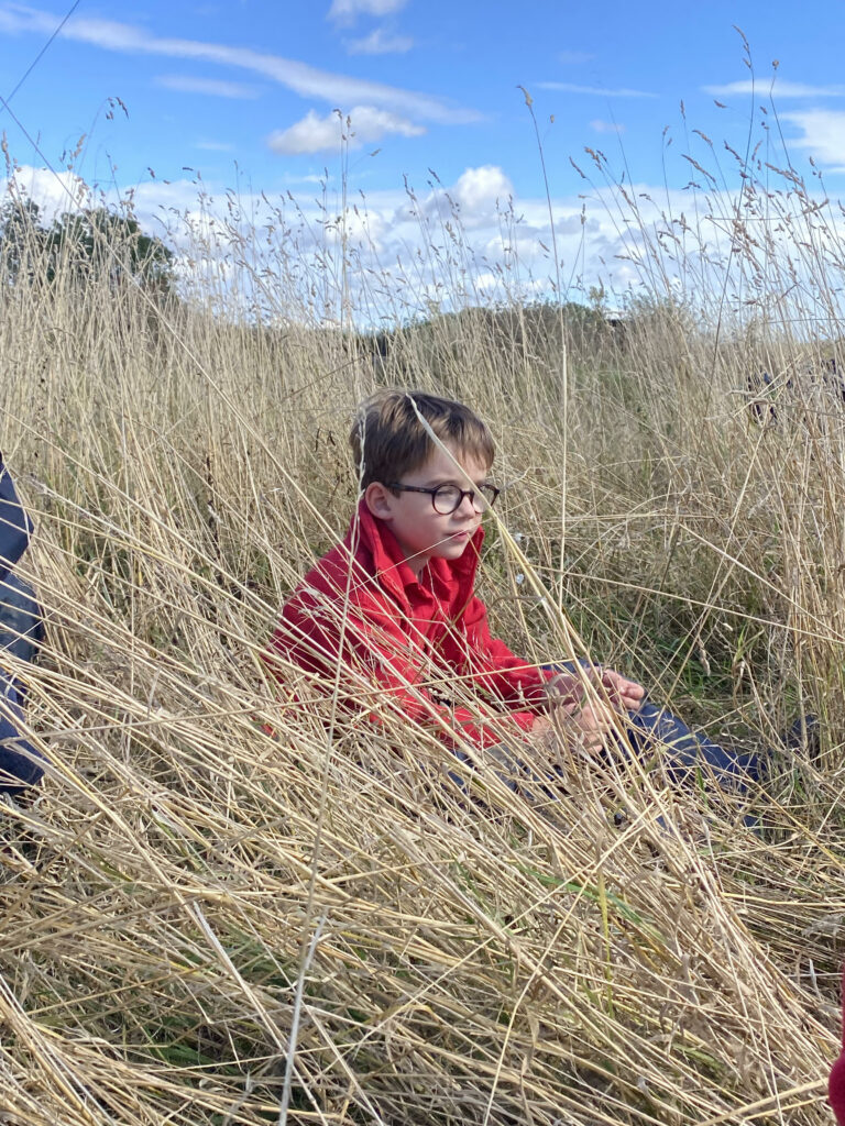 A snapshot of our week!, Copthill School