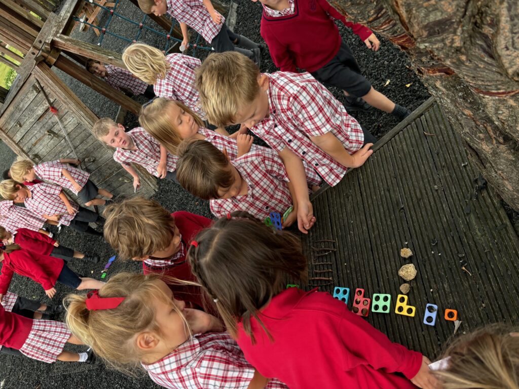 Maths and nature&#8230;, Copthill School