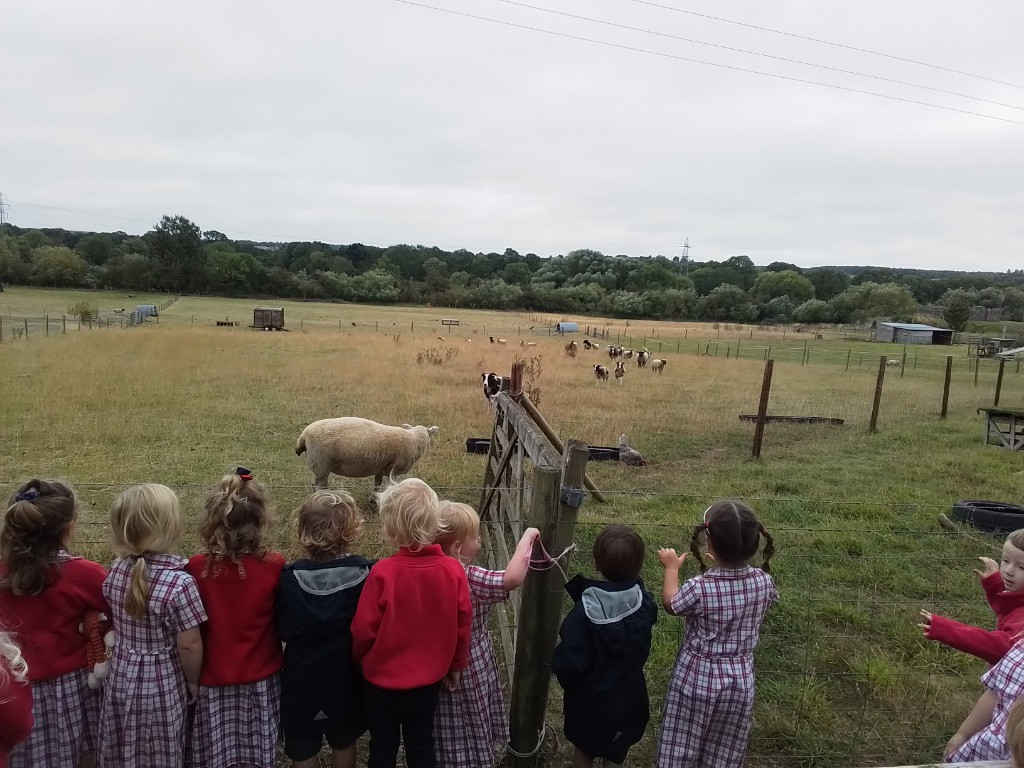 Exploring the outdoors!, Copthill School