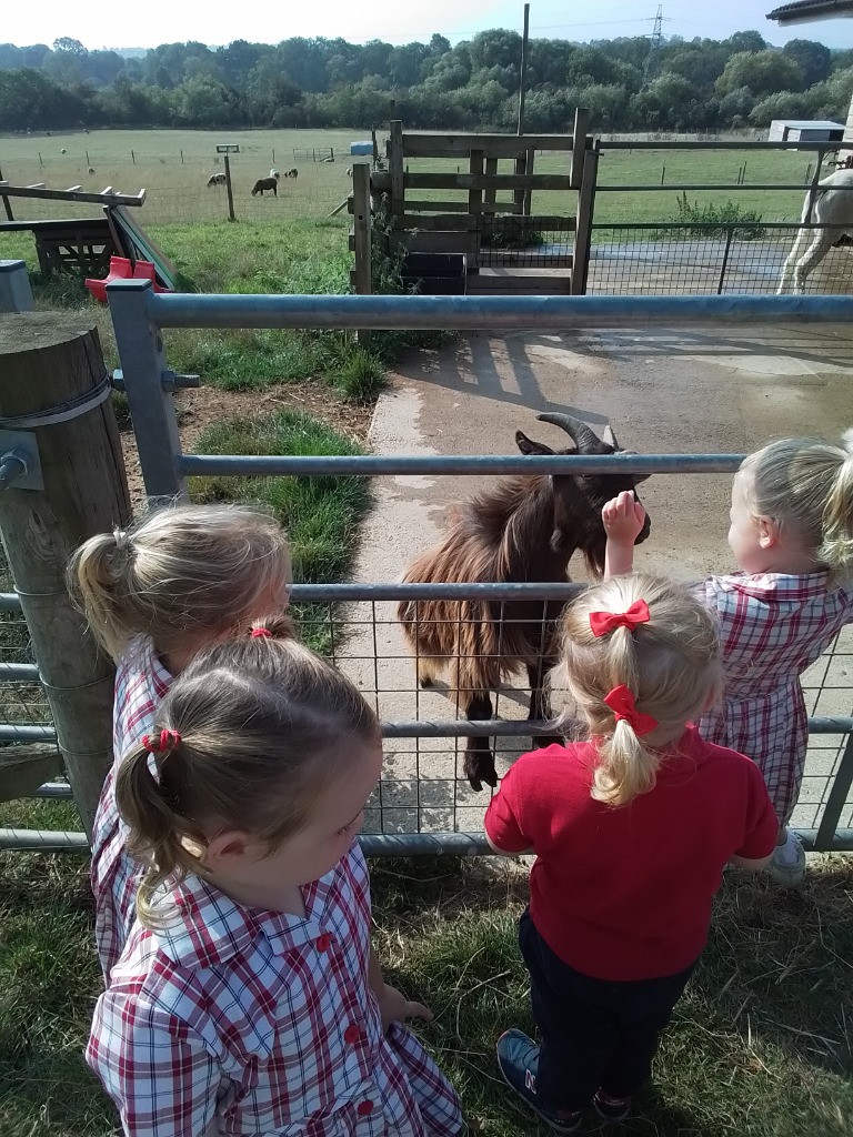 Exploring the outdoors!, Copthill School