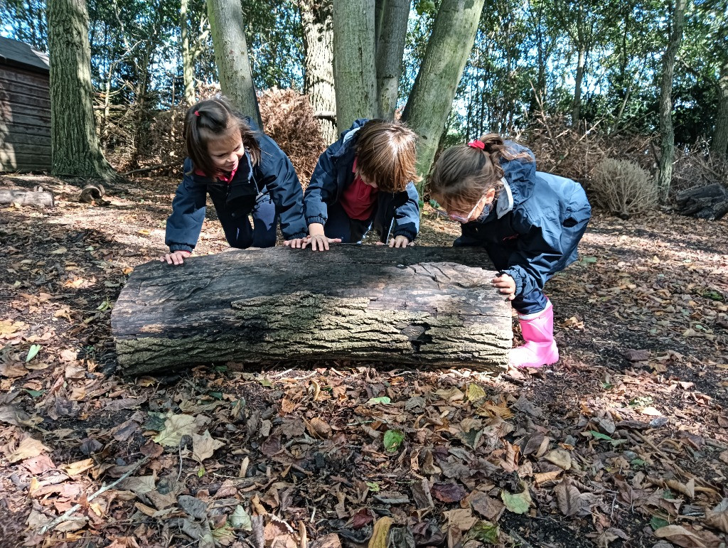 Outdoor map making, Copthill School